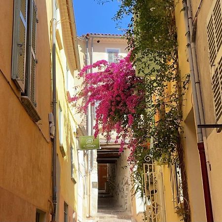 Appartement Palmiers, Coeur De Ville Sur Le Parcours Des Arts Hyères Exterior foto